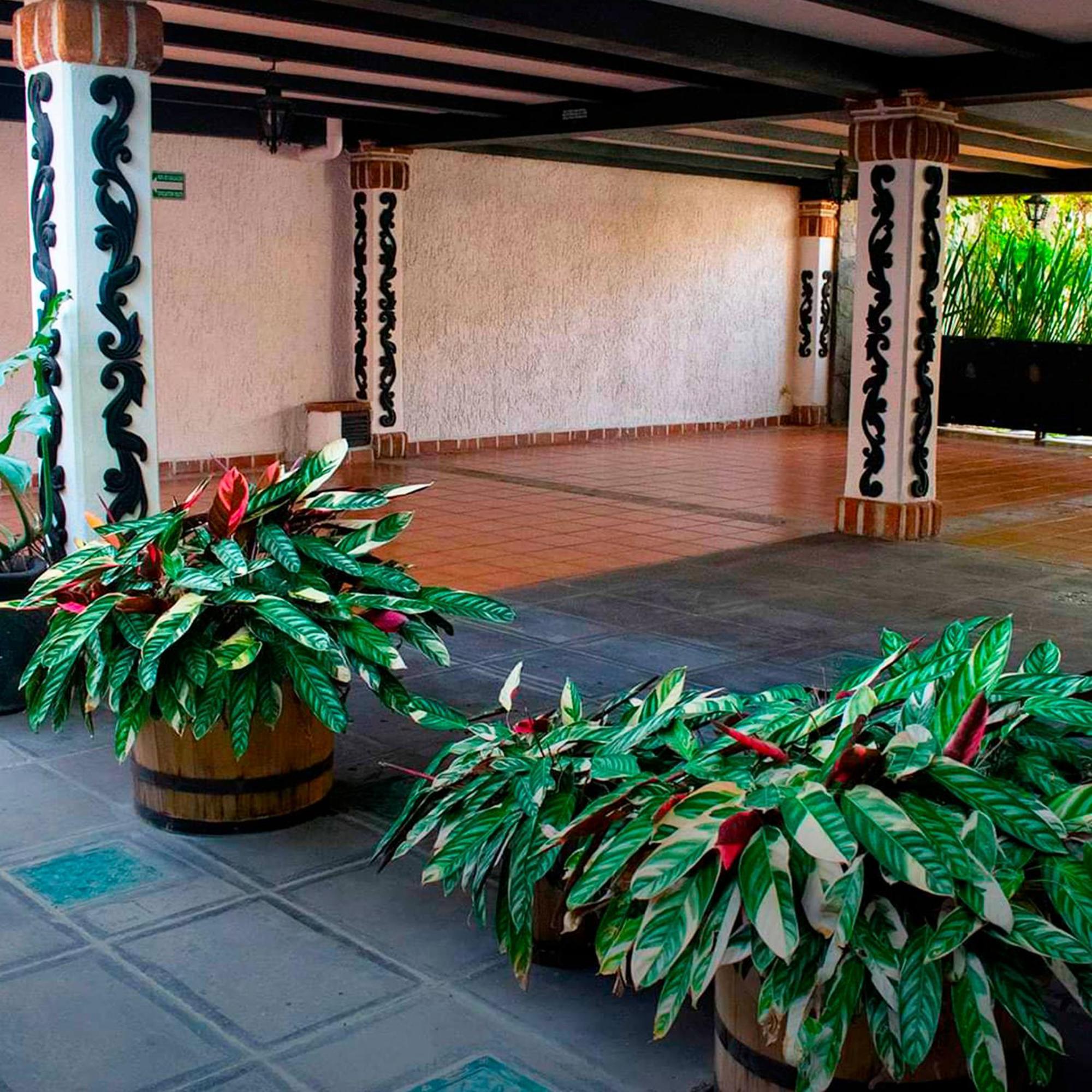 Hotel Boutique La Mansion Guadalajara Bagian luar foto